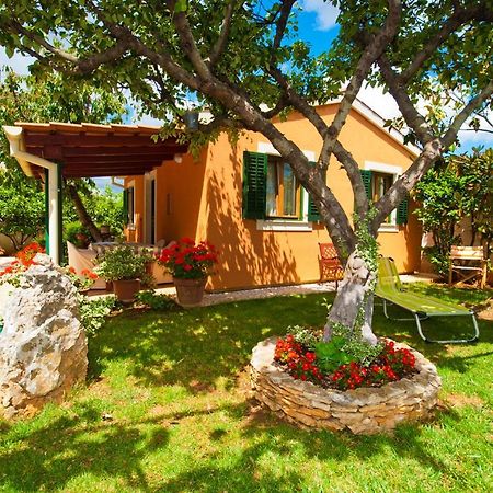 Guest House Bizjak Vinkuran Ngoại thất bức ảnh