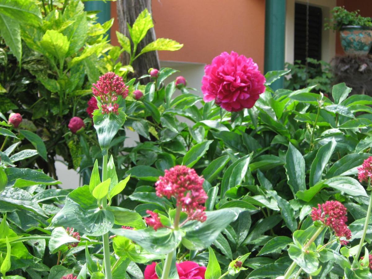 Guest House Bizjak Vinkuran Ngoại thất bức ảnh