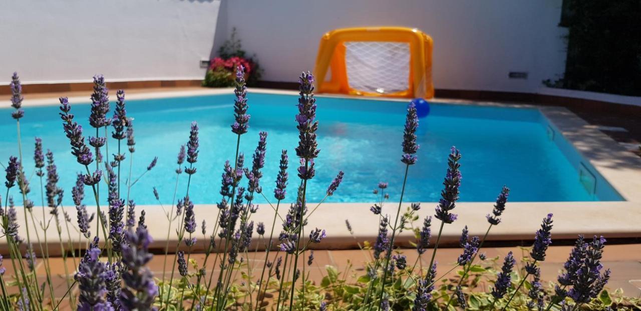 Guest House Bizjak Vinkuran Ngoại thất bức ảnh