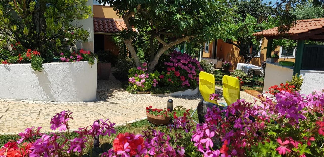 Guest House Bizjak Vinkuran Ngoại thất bức ảnh