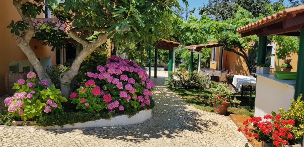 Guest House Bizjak Vinkuran Ngoại thất bức ảnh