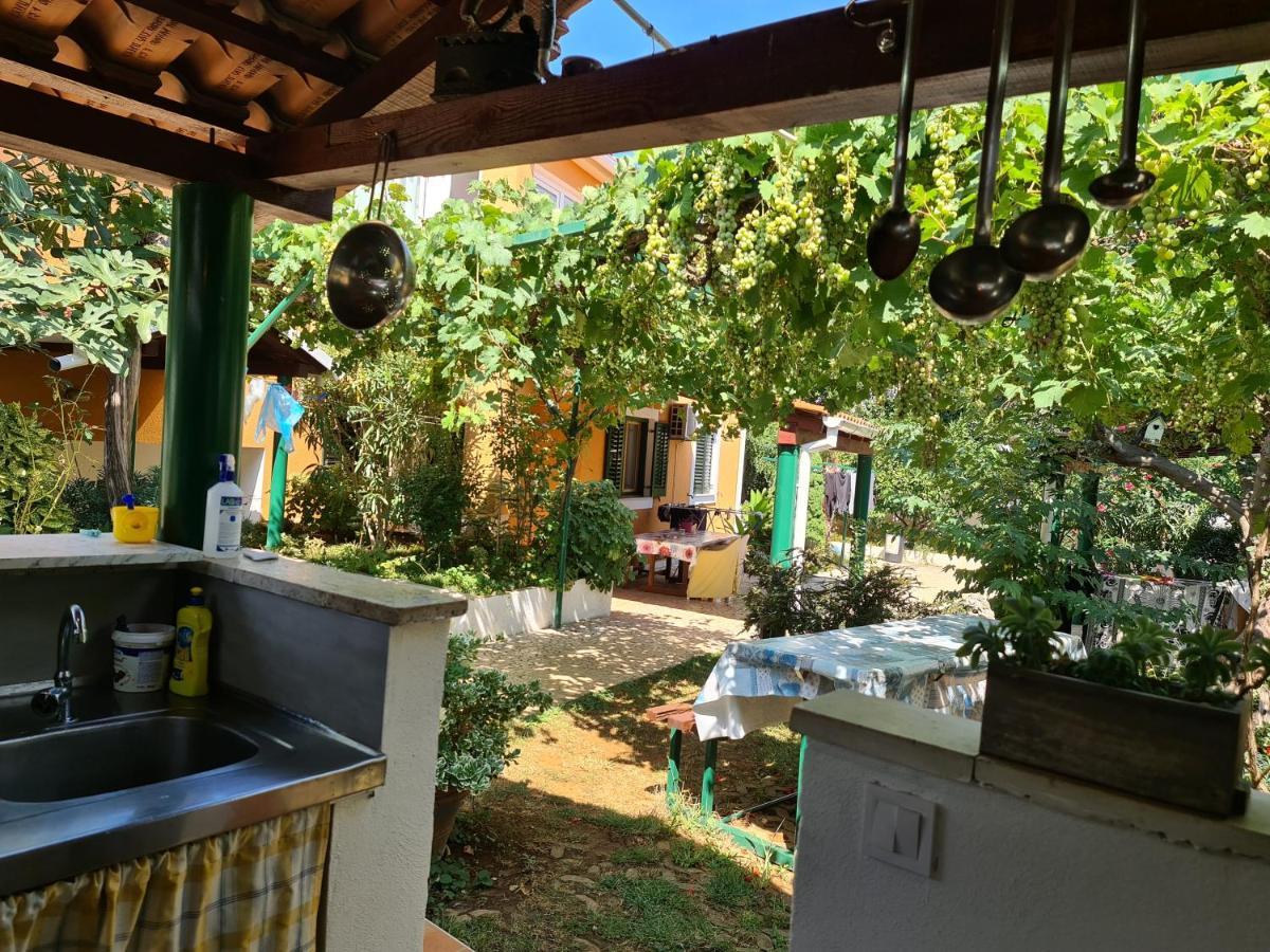 Guest House Bizjak Vinkuran Ngoại thất bức ảnh