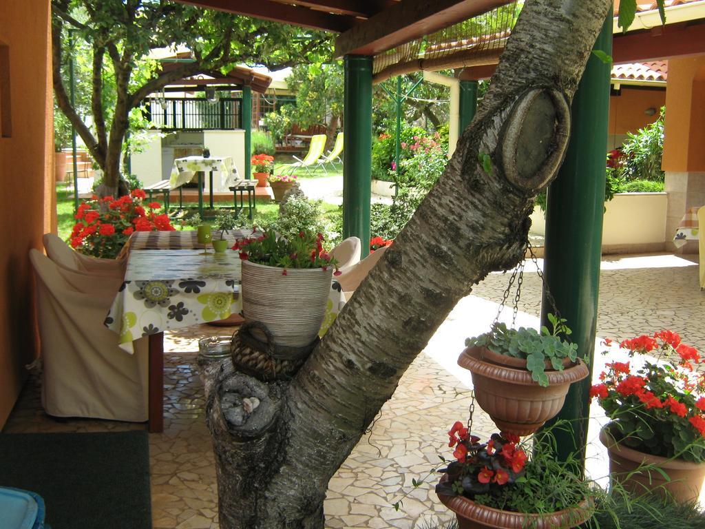 Guest House Bizjak Vinkuran Ngoại thất bức ảnh