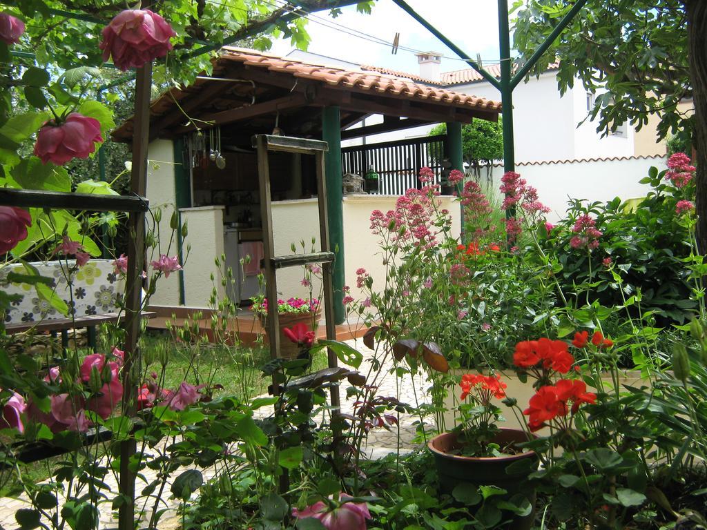 Guest House Bizjak Vinkuran Ngoại thất bức ảnh